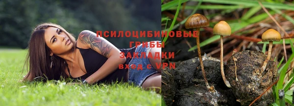 не бодяженный Арсеньев