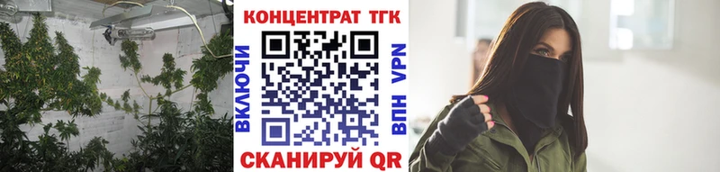 цена наркотик  omg онион  Дистиллят ТГК Wax  Новодвинск 