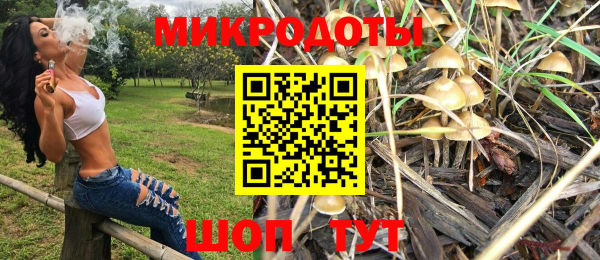 Псилоцибиновые грибы Cubensis Новодвинск
