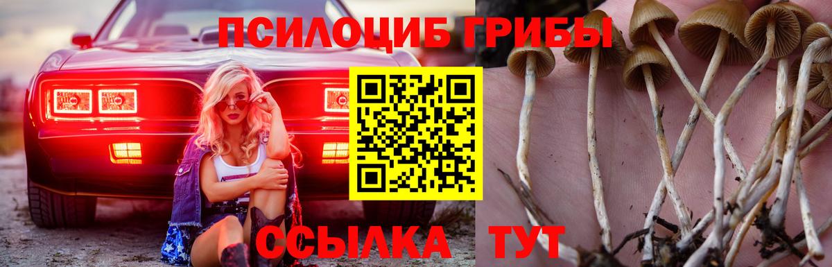 Псилоцибиновые грибы Cubensis  Вход с VPN  Новодвинск 
